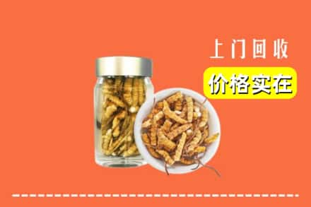 包头市达尔罕茂明安回收散虫草