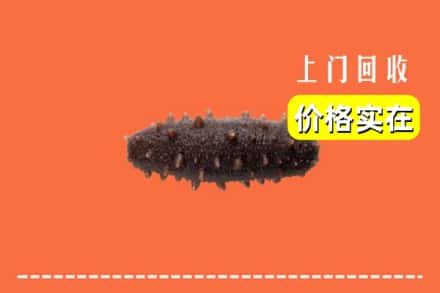 包头市达尔罕茂明安回收海参