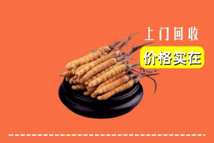 包头市达尔罕茂明安回收冬虫夏草