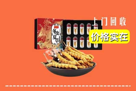 包头市达尔罕茂明安回收虫草